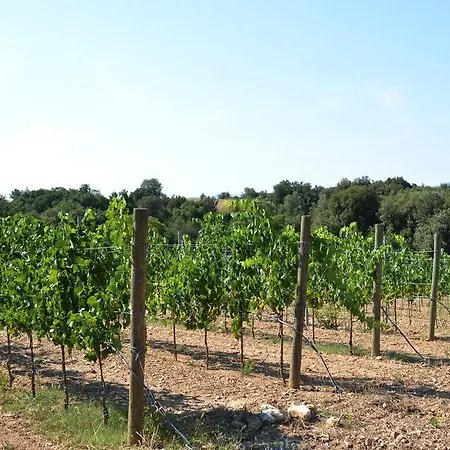 Tenuta Di Maro Sticciano